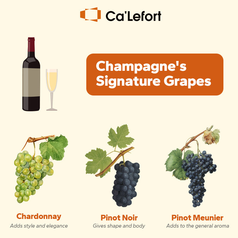 A Full Guide to the Types of Champagne Ca Lefort