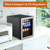 65 Can Freestanding Mini Beverage Fridge